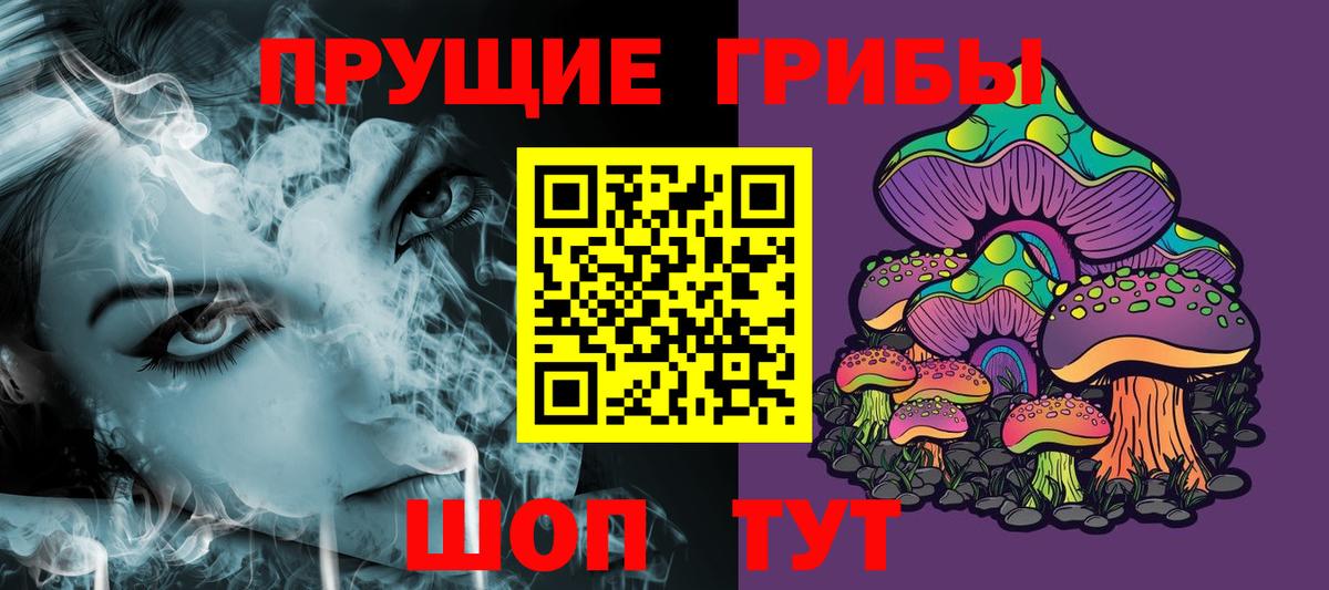 Галлюциногенные грибы Psilocybe Павловский Посад