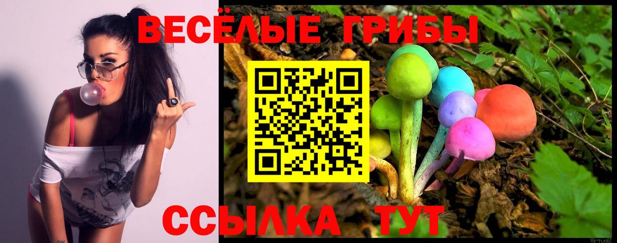 Псилоцибиновые грибы MAGIC MUSHROOMS  Вход с VPN  Павловский Посад  Псилоцибиновые грибы прущие грибы 
